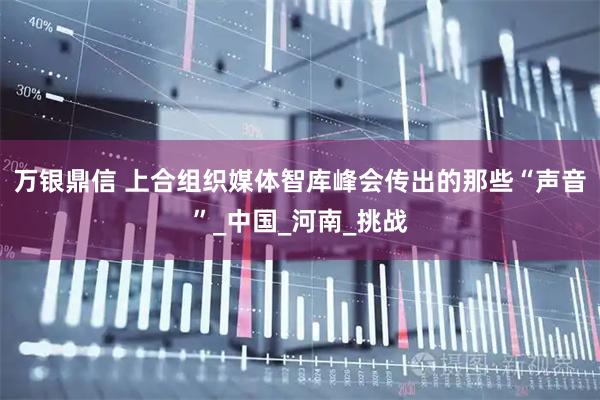 万银鼎信 上合组织媒体智库峰会传出的那些“声音”_中国_河南_挑战